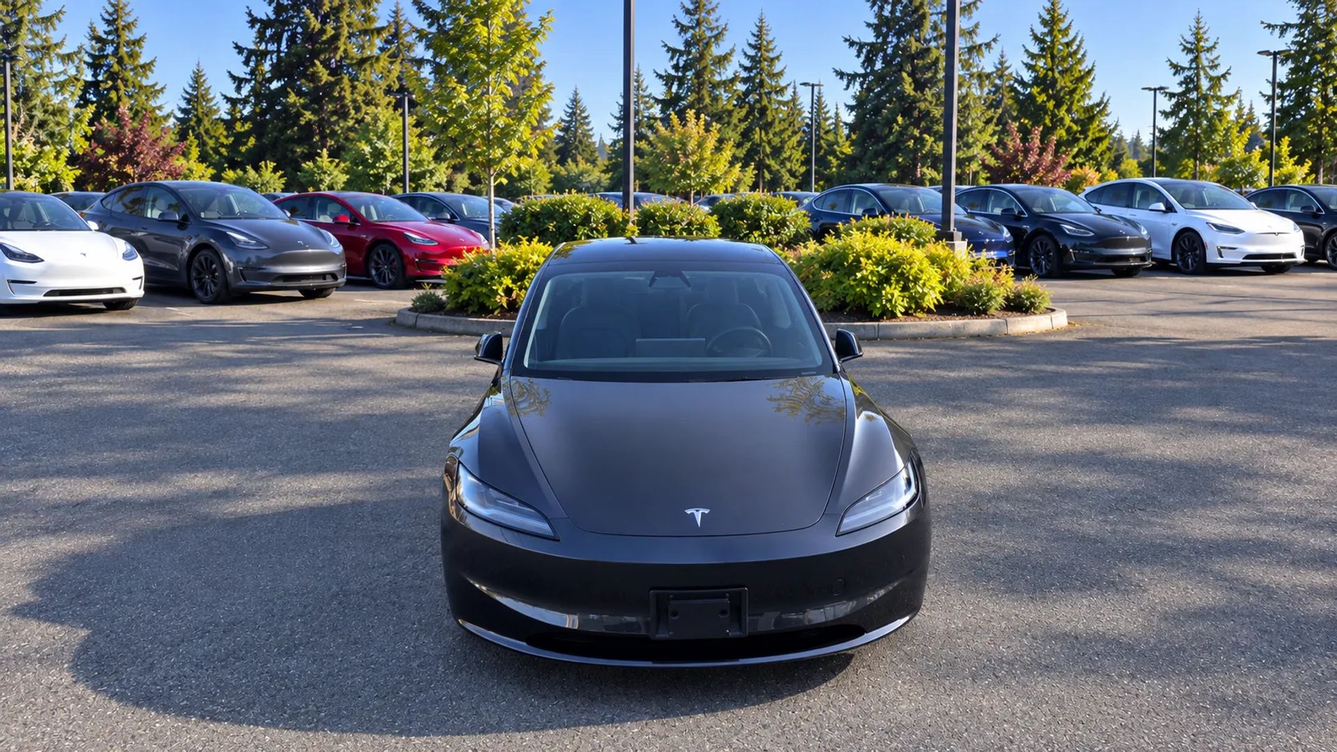 tesla model 3 2025 5YJ3E1EA5SF950977 image tesla model 3 2025 5YJ3E1EA5SF950977 image